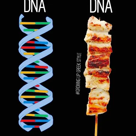 Apollon H-3 H-4 * Rhodes City